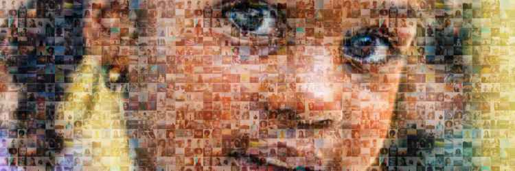 Poets in the schools